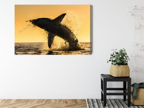 Obraz na płótnie Natura Wyskakujący rekin Premium Canvas - obrazek 8
