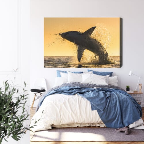 Obraz na płótnie Natura Wyskakujący rekin Premium Canvas - obrazek 3