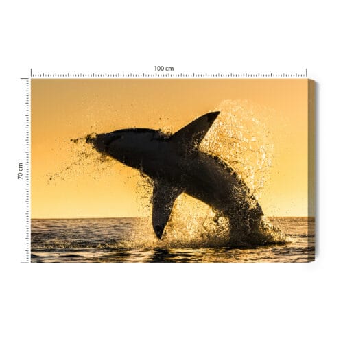 Obraz na płótnie Natura Wyskakujący rekin Premium Canvas