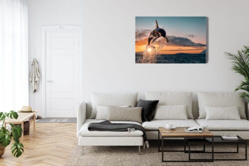 Obraz na płótnie Natura Skaczące orki nad oceanem o zachodzie Premium Canvas - obrazek 6