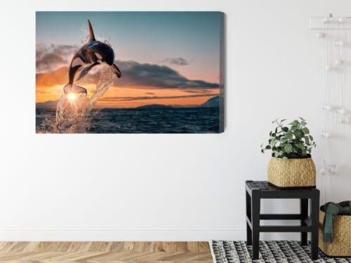Obraz na płótnie Natura Skaczące orki nad oceanem o zachodzie Premium Canvas - obrazek 8