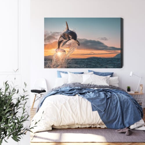 Obraz na płótnie Natura Skaczące orki nad oceanem o zachodzie Premium Canvas - obrazek 3