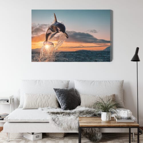 Obraz na płótnie Natura Skaczące orki nad oceanem o zachodzie Premium Canvas - obrazek 4