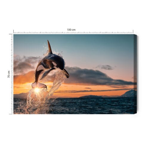 Obraz na płótnie Natura Skaczące orki nad oceanem o zachodzie Premium Canvas