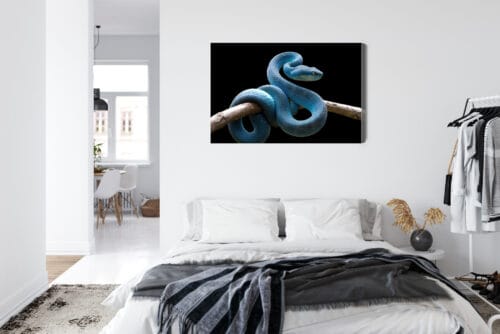Obraz na płótnie Zwierzęta Niebieski wąż Premium Canvas - obrazek 7