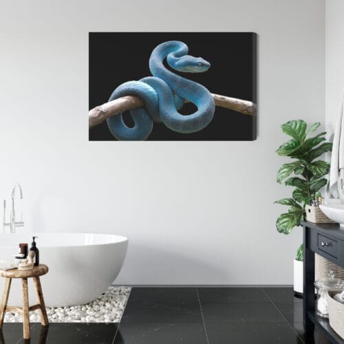 Obraz na płótnie Zwierzęta Niebieski wąż Premium Canvas - obrazek 5