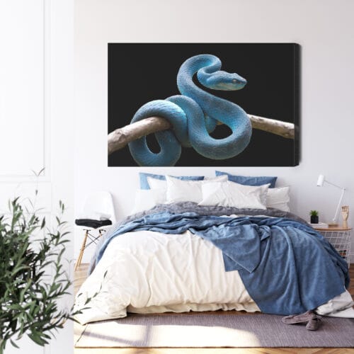 Obraz na płótnie Zwierzęta Niebieski wąż Premium Canvas - obrazek 3