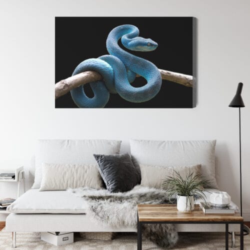 Obraz na płótnie Zwierzęta Niebieski wąż Premium Canvas - obrazek 4