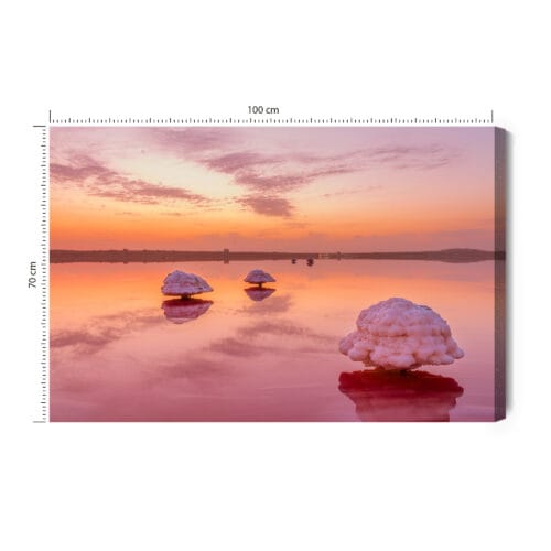 Obraz na płótnie Natura Różowe jezioro Premium Canvas