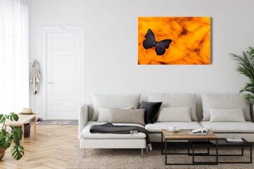 Obraz na płótnie Natura Ciemny motyl na tle bursztynu Premium Canvas - obrazek 6