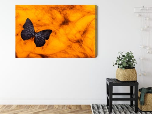Obraz na płótnie Natura Ciemny motyl na tle bursztynu Premium Canvas - obrazek 8