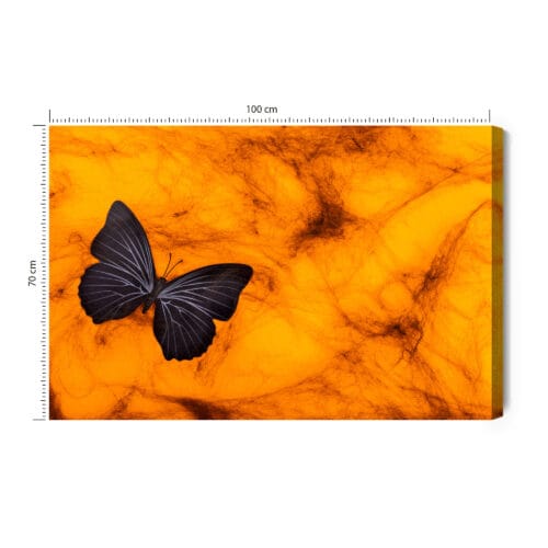 Obraz na płótnie Natura Ciemny motyl na tle bursztynu Premium Canvas