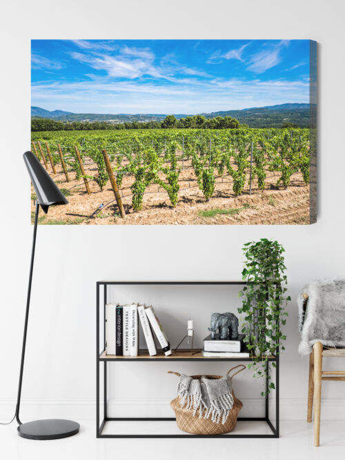 Obraz na płótnie Winnica w słońcu fotograficzny Krajobraz letni  Premium Canvas - obrazek 9
