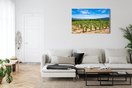 Obraz na płótnie Winnica w słońcu fotograficzny Krajobraz letni  Premium Canvas - obrazek 6