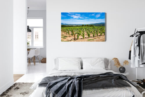 Obraz na płótnie Winnica w słońcu fotograficzny Krajobraz letni  Premium Canvas - obrazek 7