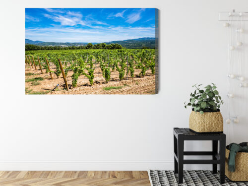 Obraz na płótnie Winnica w słońcu fotograficzny Krajobraz letni  Premium Canvas - obrazek 8