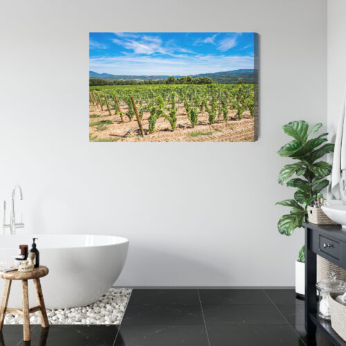 Obraz na płótnie Winnica w słońcu fotograficzny Krajobraz letni  Premium Canvas - obrazek 5