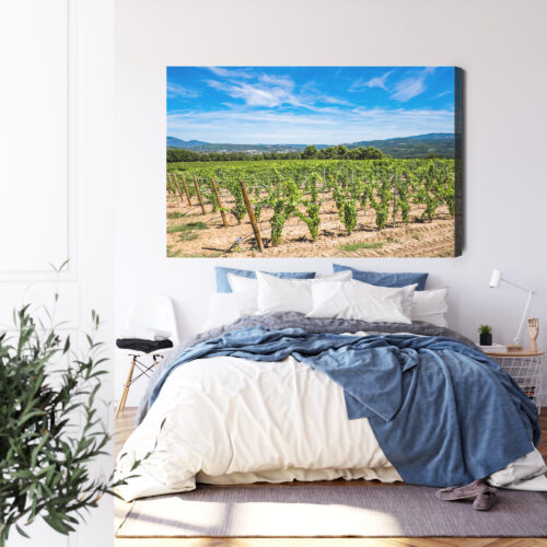 Obraz na płótnie Winnica w słońcu fotograficzny Krajobraz letni  Premium Canvas - obrazek 3