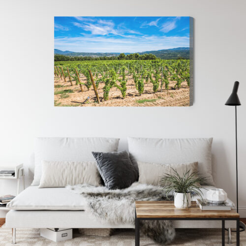 Obraz na płótnie Winnica w słońcu fotograficzny Krajobraz letni  Premium Canvas - obrazek 4