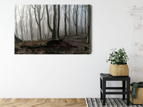 Obraz na płótnie Mglisty las Styl fotograficzny Drzewa we mgle  Premium Canvas - obrazek 8