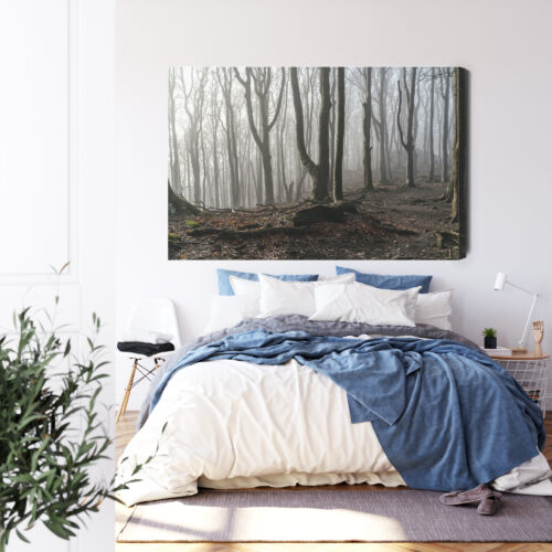 Obraz na płótnie Mglisty las Styl fotograficzny Drzewa we mgle  Premium Canvas - obrazek 3
