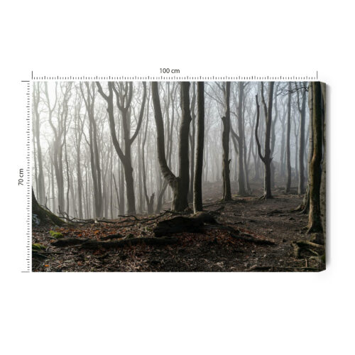Obraz na płótnie Mglisty las Styl fotograficzny Drzewa we mgle  Premium Canvas