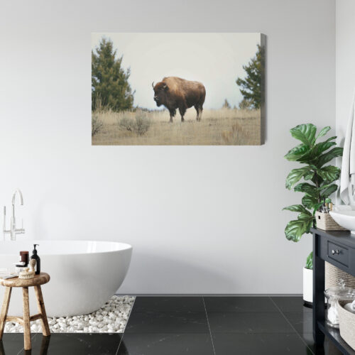 Obraz na płótnie Zwierzęta Bizon na prerii Premium Canvas - obrazek 5