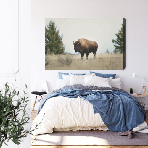 Obraz na płótnie Zwierzęta Bizon na prerii Premium Canvas - obrazek 3