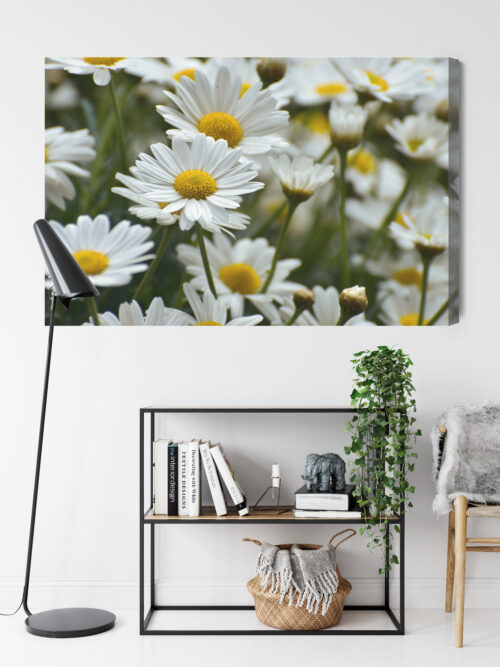 Obraz na płótnie Stokrotki Natura Polne kwiaty w zbliżeniu  Premium Canvas - obrazek 9