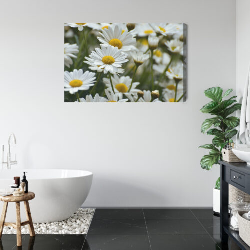 Obraz na płótnie Stokrotki Natura Polne kwiaty w zbliżeniu  Premium Canvas - obrazek 5