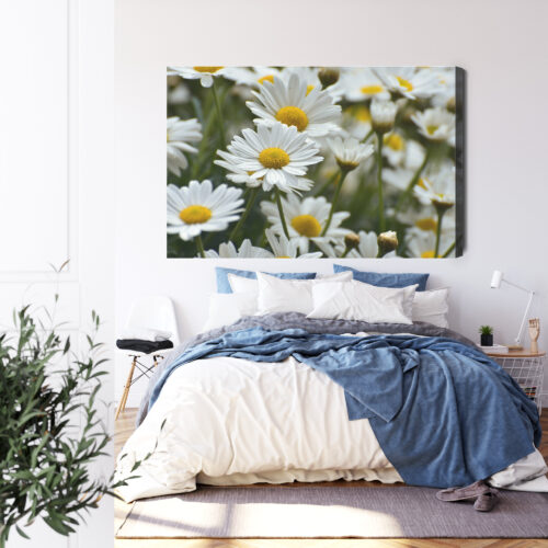 Obraz na płótnie Stokrotki Natura Polne kwiaty w zbliżeniu  Premium Canvas - obrazek 3