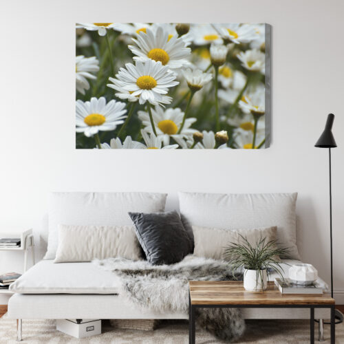 Obraz na płótnie Stokrotki Natura Polne kwiaty w zbliżeniu  Premium Canvas - obrazek 4