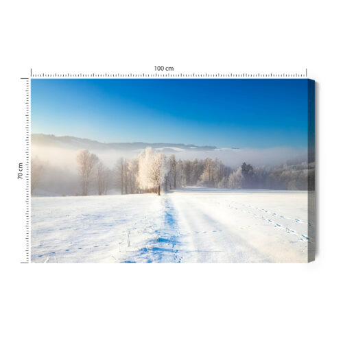 Obraz na płótnie Zimowy krajobraz Fotografia Śnieżne pole  Premium Canvas
