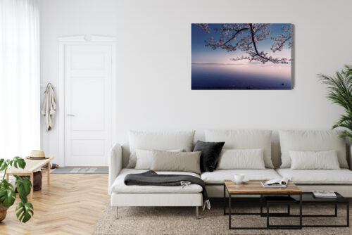 Obraz na płótnie Krajobraz Fotografia Sakura  Premium Canvas - obrazek 6