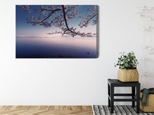 Obraz na płótnie Krajobraz Fotografia Sakura  Premium Canvas - obrazek 8
