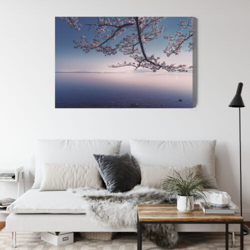 Obraz na płótnie Krajobraz Fotografia Sakura  Premium Canvas - obrazek 4
