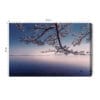 Obraz na płótnie Krajobraz Fotografia Sakura  Premium Canvas