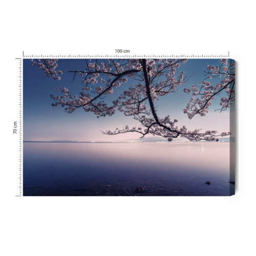 Obraz na płótnie Krajobraz Fotografia Sakura  Premium Canvas