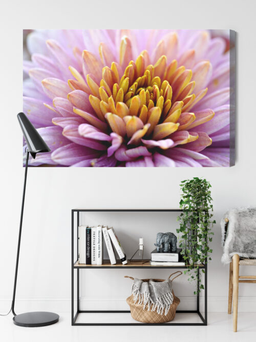 Obraz na płótnie Kwiat Fotografia Zbliżenie  Premium Canvas - obrazek 9