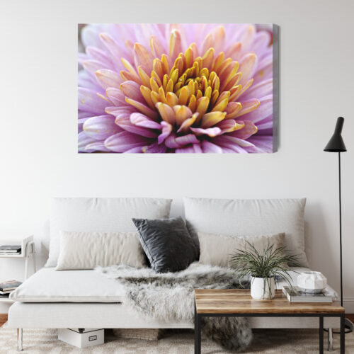 Obraz na płótnie Kwiat Fotografia Zbliżenie  Premium Canvas - obrazek 4