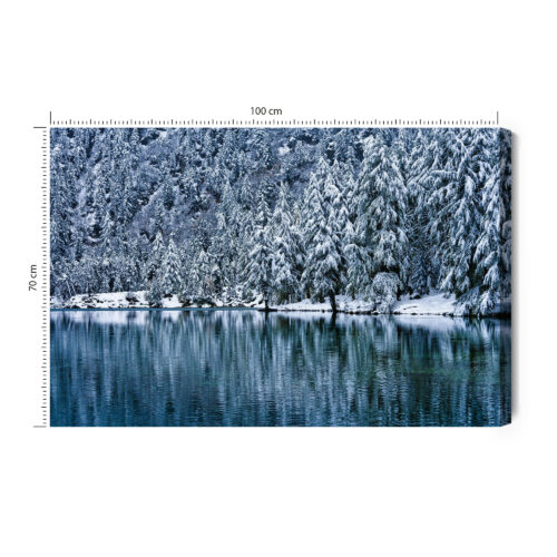 Obraz na płótnie Zima Fotografia Śnieżny las nad jeziorem  Premium Canvas