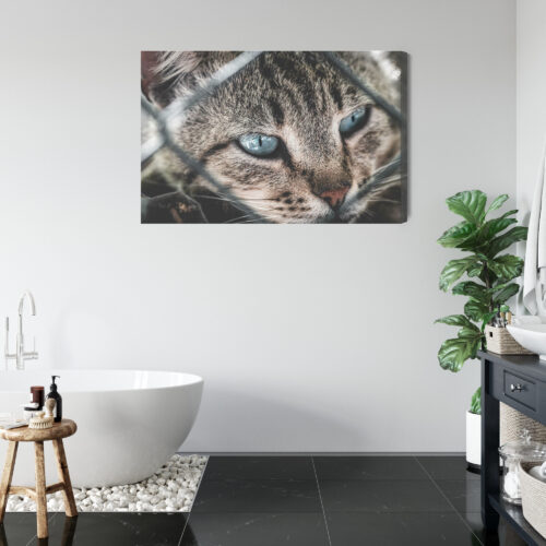 Obraz na płótnie Kot Fotografia Spojrzenie zza siatki  Premium Canvas - obrazek 5