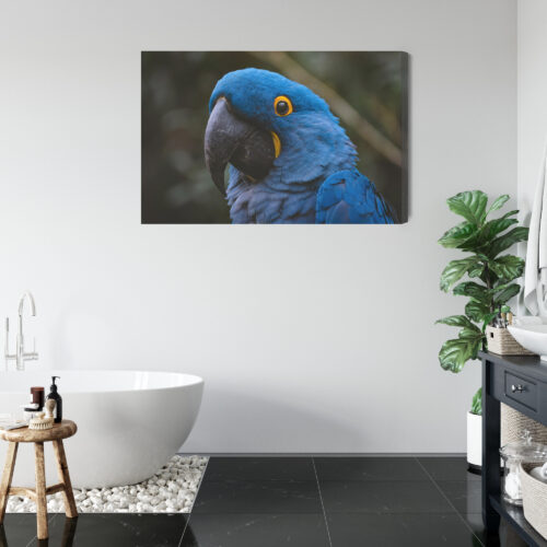 Obraz na płótnie Papuga Fotografia Egzotyczny ptak  Premium Canvas - obrazek 5