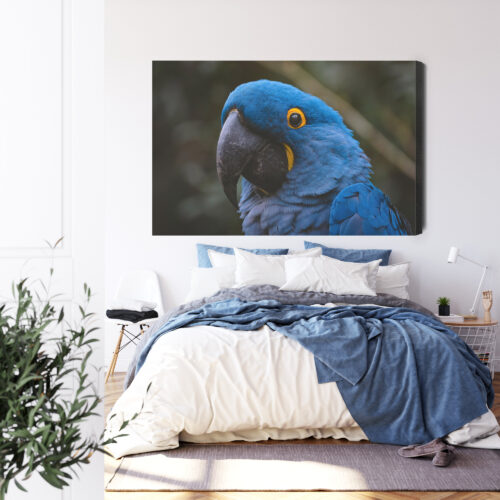Obraz na płótnie Papuga Fotografia Egzotyczny ptak  Premium Canvas - obrazek 3