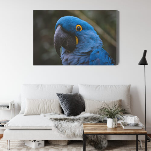 Obraz na płótnie Papuga Fotografia Egzotyczny ptak  Premium Canvas - obrazek 4