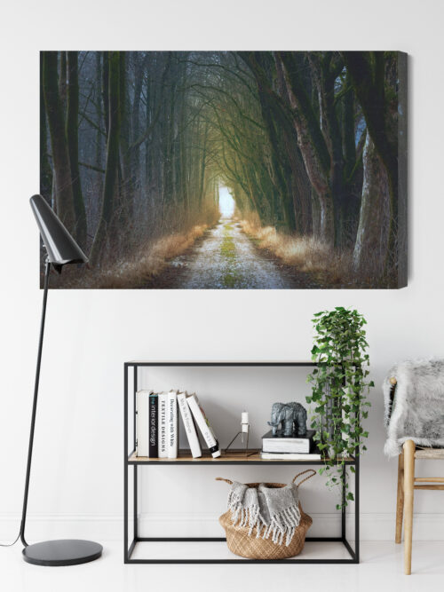 Obraz na płótnie Las Tunel Perspektywa drogi  Premium Canvas - obrazek 9