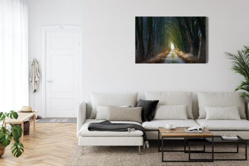 Obraz na płótnie Las Tunel Perspektywa drogi  Premium Canvas - obrazek 6