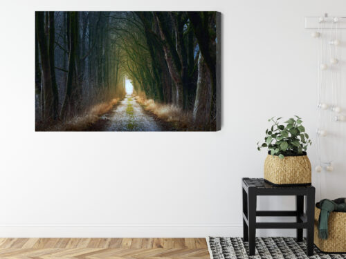Obraz na płótnie Las Tunel Perspektywa drogi  Premium Canvas - obrazek 8