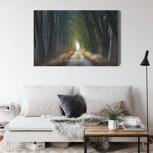 Obraz na płótnie Las Tunel Perspektywa drogi  Premium Canvas - obrazek 4