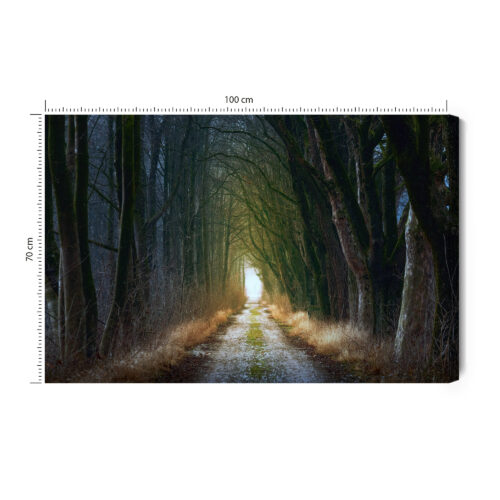 Obraz na płótnie Las Tunel Perspektywa drogi  Premium Canvas